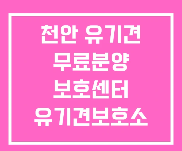 천안 유기견 무료분양 보호센터 유기견보호소 봉사 천안 유기견 무료분양 보호센터 유기견보호소 봉사