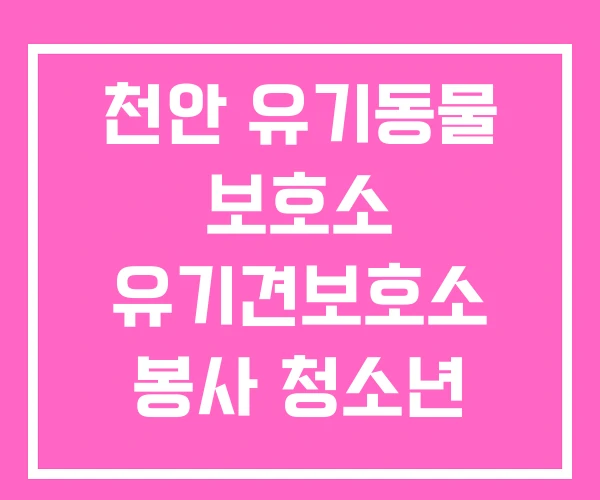 천안 유기동물 보호소 유기견보호소 봉사 청소년 유기견 천안 유기동물 보호소 유기견보호소 봉사 청소년 유기견