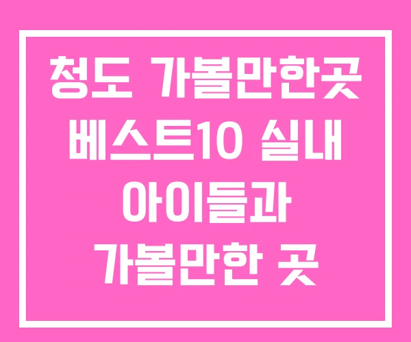 청도 가볼만한곳 베스트10 실내 아이들과 가볼만한 곳