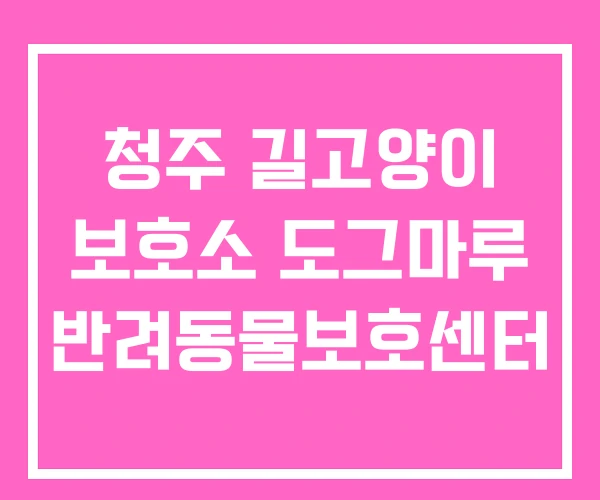 청주 길고양이 보호소 도그마루 반려동물보호센터