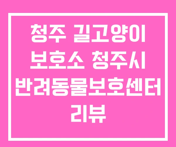 청주 길고양이 보호소 청주시 반려동물보호센터 리뷰 청주 길고양이 보호소 청주시 반려동물보호센터 리뷰