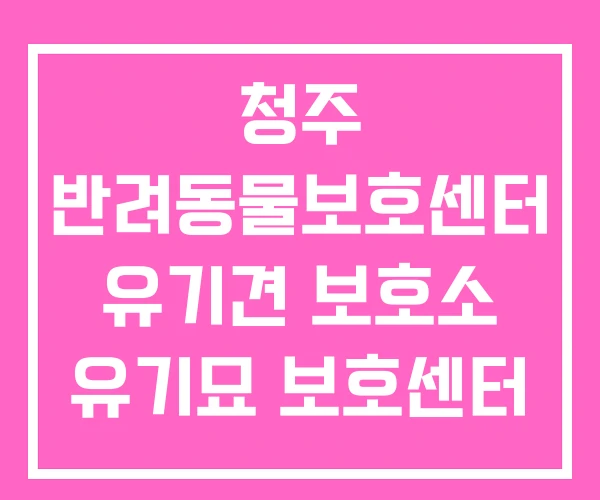 청주 반려동물보호센터 유기견 보호소 유기묘 보호센터 청주 반려동물보호센터 유기견 보호소 유기묘 보호센터