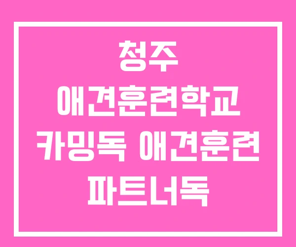 청주 애견훈련학교 카밍독 애견훈련 파트너독 애견훈련센터
