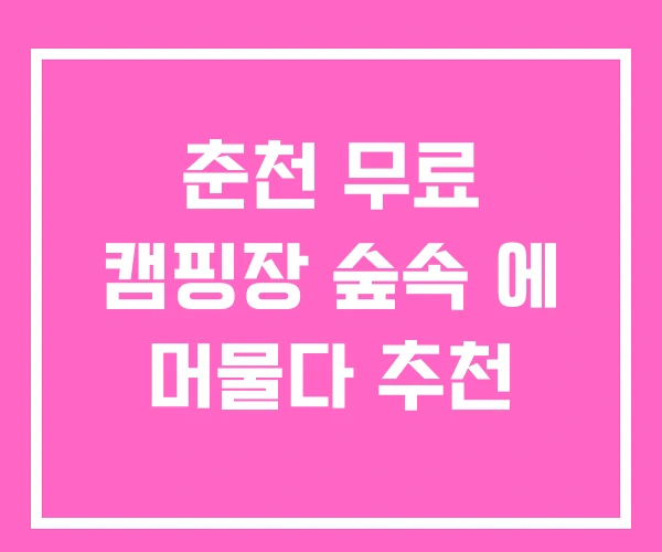 춘천 무료 캠핑장 숲속 에 머물다 추천 춘천 무료 캠핑장 숲속 에 머물다 추천
