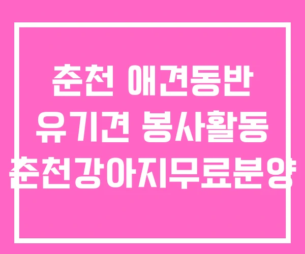 춘천 애견동반 유기견 봉사활동 춘천강아지무료분양 춘천 애견동반 유기견 봉사활동 춘천강아지무료분양