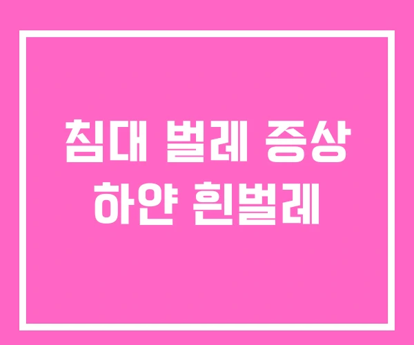침대 벌레 증상 하얀 흰벌레