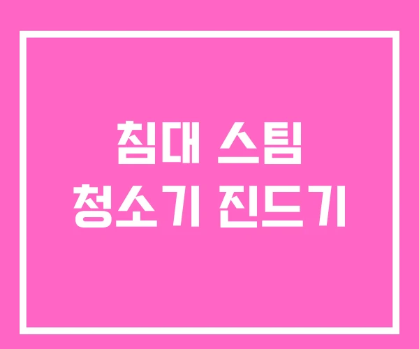 침대 스팀 청소기 진드기