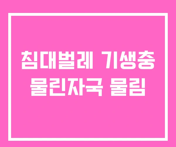 침대벌레 기생충 물린자국 물림