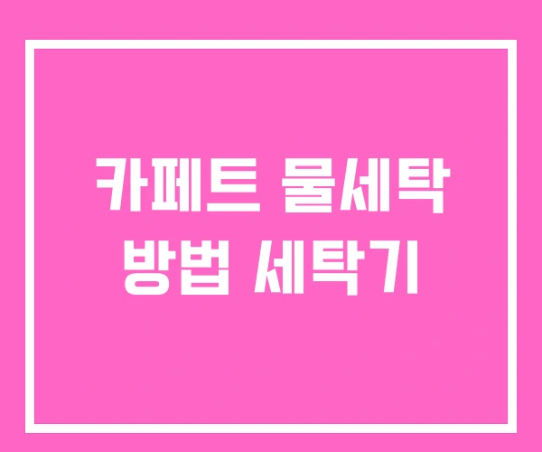 카페트 물세탁 방법 세탁기 카페트 물세탁 방법 세탁기