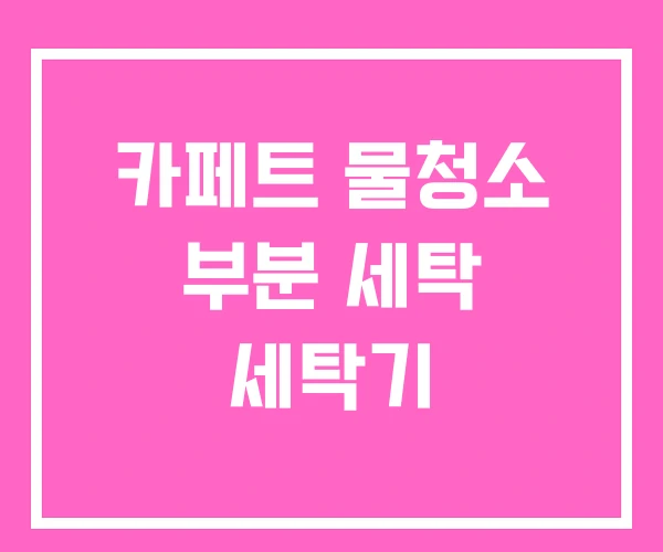 카페트 물청소 부분 세탁 세탁기