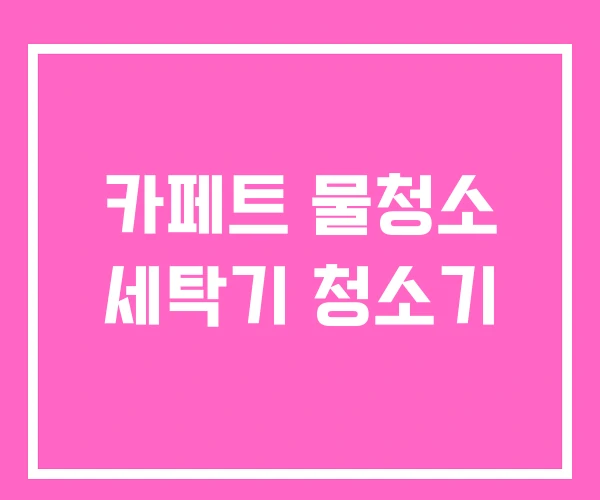 카페트 물청소 세탁기 청소기