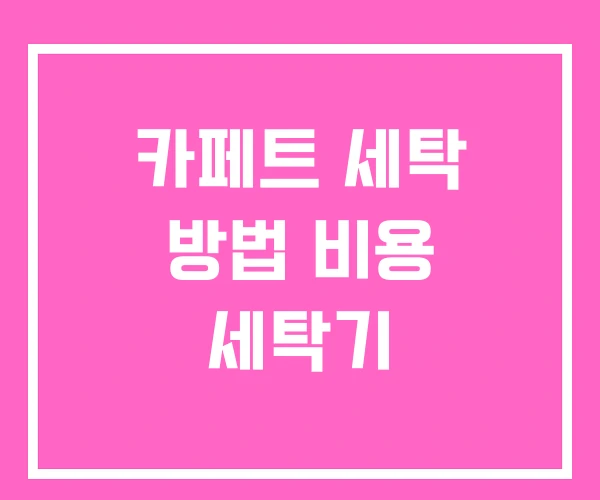 카페트 세탁 방법 비용 세탁기