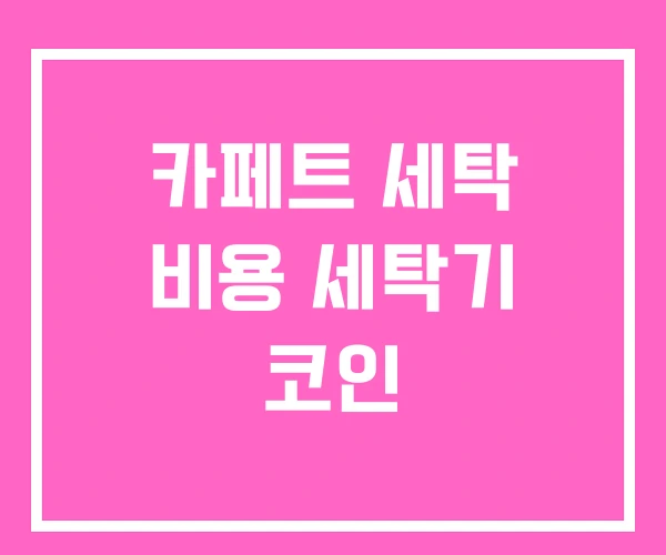 카페트 세탁 비용 세탁기 코인 카페트 세탁 비용 세탁기 코인