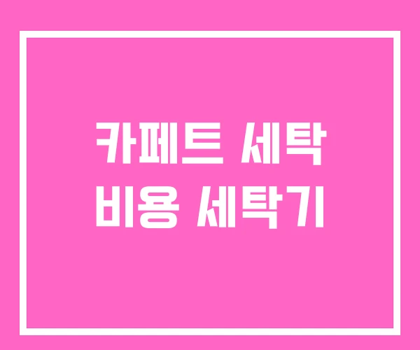 카페트 세탁 비용 세탁기