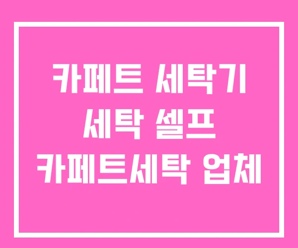 카페트 세탁기 세탁 셀프 카페트세탁 업체
