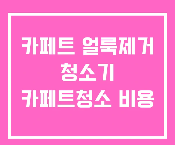 카페트 얼룩제거 청소기 카페트청소 비용