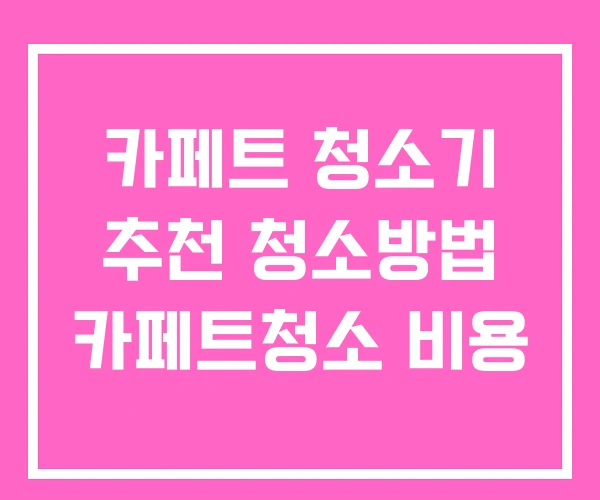 카페트 청소기 추천 청소방법 카페트청소 비용