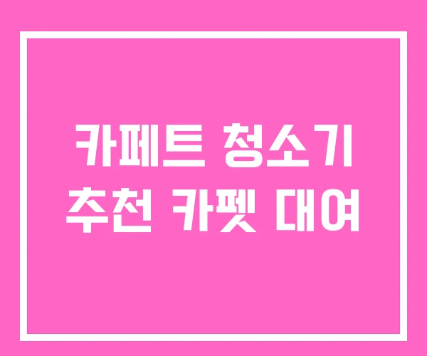 카페트 청소기 추천 카펫 대여