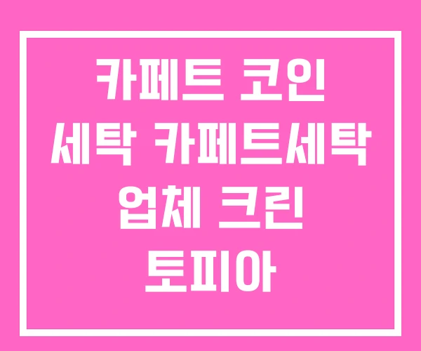 카페트 코인 세탁 카페트세탁 업체 크린 토피아