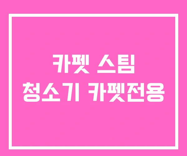 카펫 스팀 청소기 카펫전용