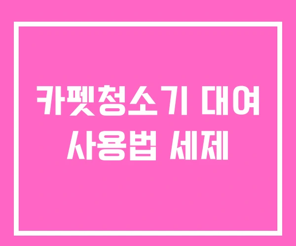 카펫청소기 대여 사용법 세제