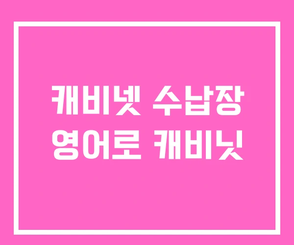 캐비넷 수납장 영어로 캐비닛