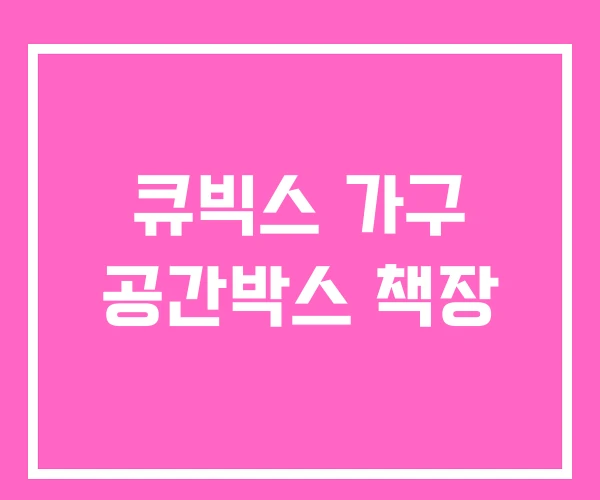큐빅스 가구 공간박스 책장