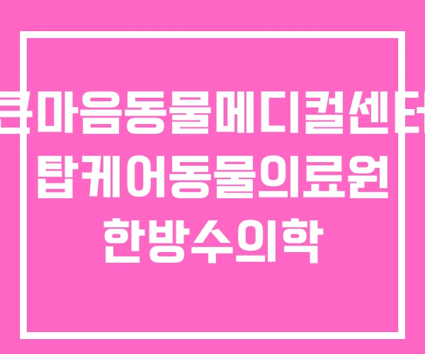 큰마음동물메디컬센터 탑케어동물의료원 한방수의학 큰마음동물메디컬센터 탑케어동물의료원 한방수의학