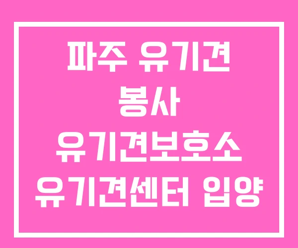 파주 유기견 봉사 유기견보호소 유기견센터 입양