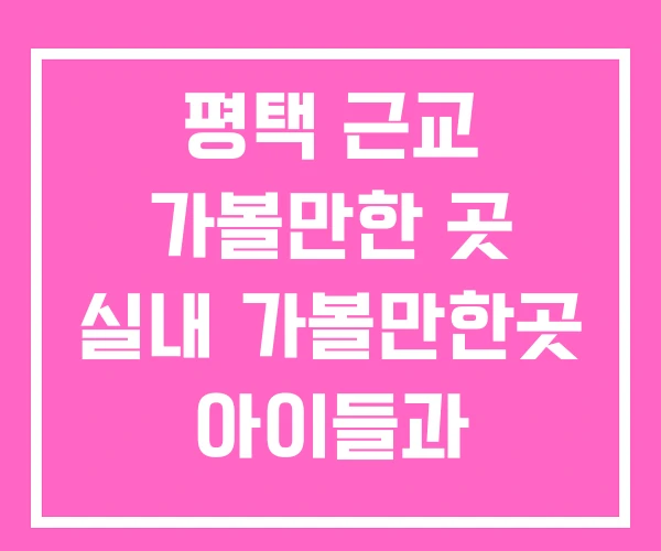평택 근교 가볼만한 곳 실내 가볼만한곳 아이들과