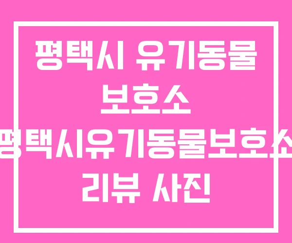 평택시 유기동물 보호소 평택시유기동물보호소 리뷰 사진 평택시 유기동물 보호소 평택시유기동물보호소 리뷰 사진