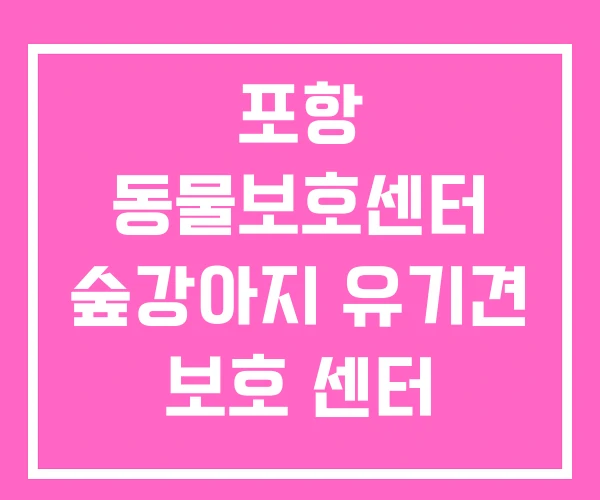 포항 동물보호센터 숲강아지 유기견 보호 센터