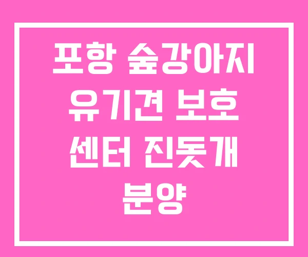 포항 숲강아지 유기견 보호 센터 진돗개 분양