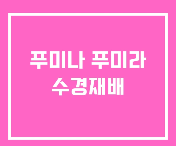 푸미나 푸미라 수경재배