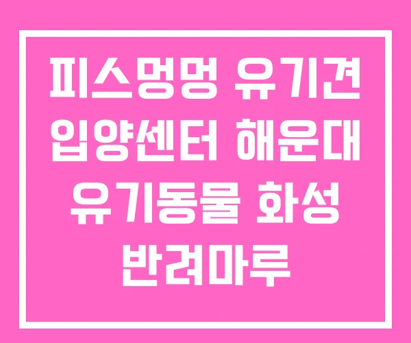 피스멍멍 유기견 입양센터 해운대 유기동물 화성 반려마루