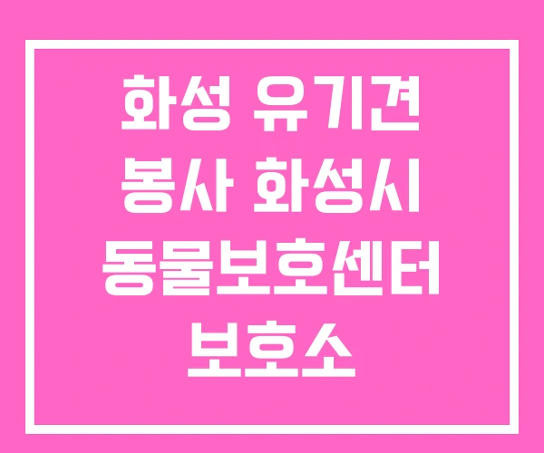 화성 유기견 봉사 화성시 동물보호센터 보호소
